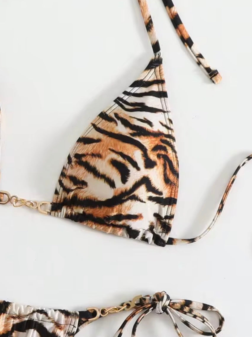 Wild Cat