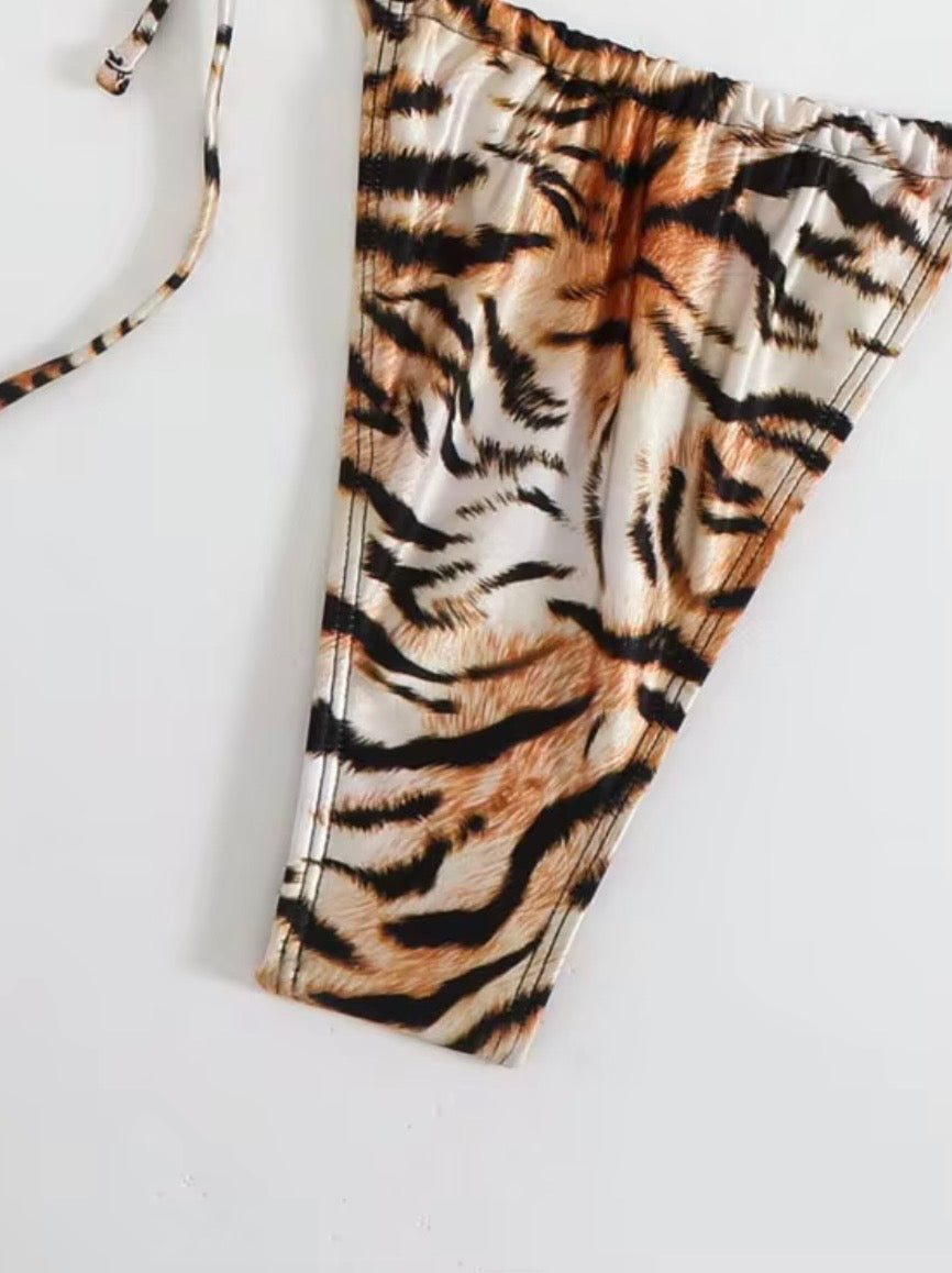 Wild Cat